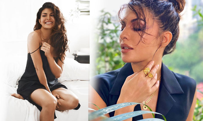 Bollywood Actress Jacqueline Fernandez Sizzling Images-telugu Actress Photos Bollywood Actress Jacqueline Fernandez Sizz High Resolution Photo