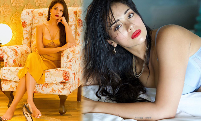 Bollywood Actress Megha Gupta Trendy Poses-telugu Actress Photos Bollywood Actress Megha Gupta Trendy Poses -  Age Megha High Resolution Photo