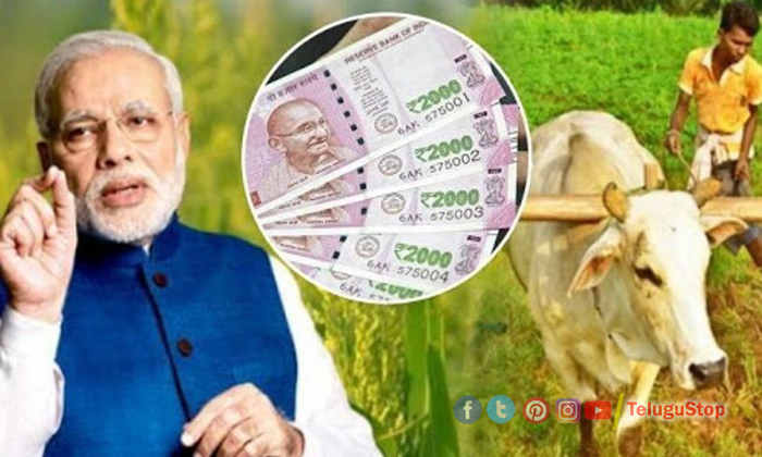  Central Government ,farmers,young Farmers Will Get 3.75 Lakh To Start Business.-TeluguStop.com