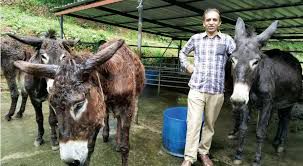  Donkey Milk @rs 7000/litre-TeluguStop.com