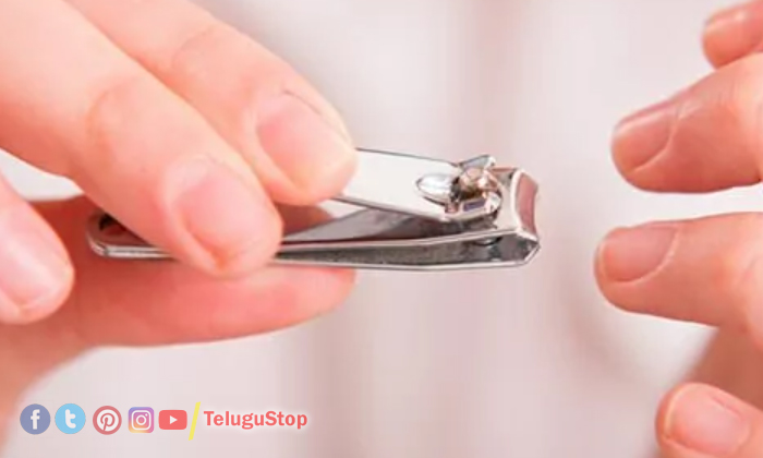  Dos And Donts On Tuesday, Works, Tuesday, మంగళవారం, Nails Cutti-TeluguStop.com