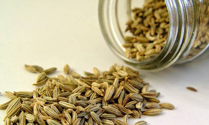  Wonderful Health Benefits Of Fennel Seeds! Health Benefits Of Fennel Seeds, Fen-TeluguStop.com