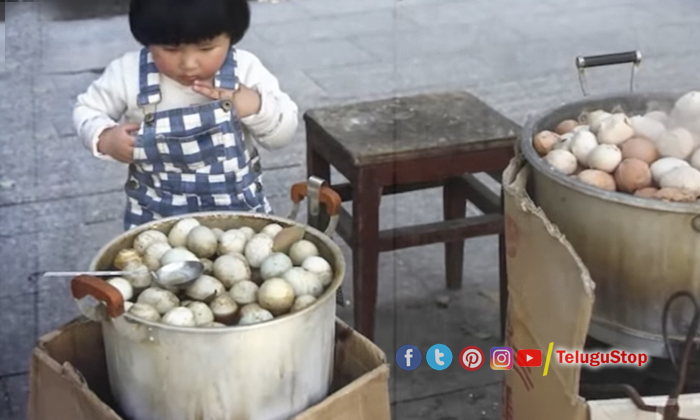 Telugu China School, Lunch Boxes, China, Chinese Schools, Eggs, Telugu, Urine Bu