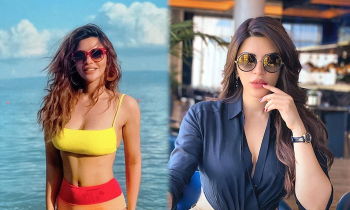 Entrancing Pictures Of Shama Sikander-telugu Actress Photos Entrancing Pictures Of Shama Sikander -  Shamasikander High Resolution Photo