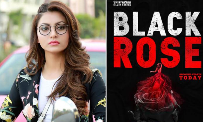  First Look: Former Miss India In ‘black Rose’-TeluguStop.com