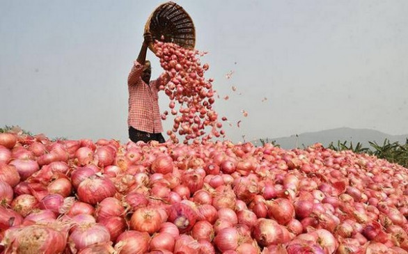 Government Bans Export Of Onions With Immediate Effect Government Bans Export Of Onions With Immediate Effect-TeluguStop.com