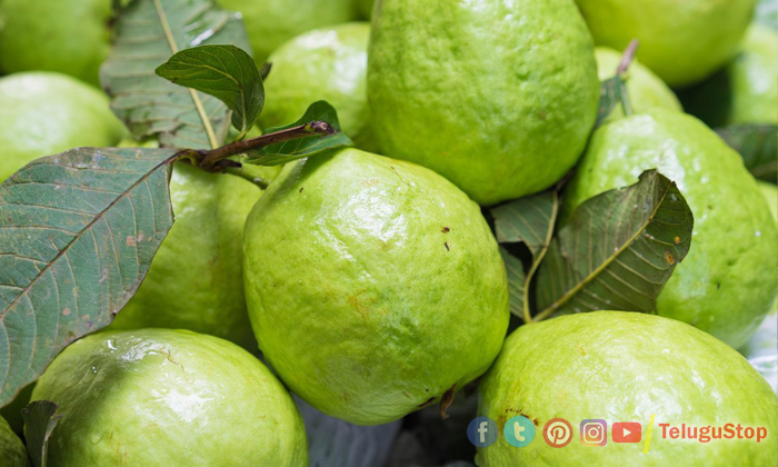  Guava Pickle To Improve Immunity Power, Coronavirus, Immunity Power, Guava Benef-TeluguStop.com