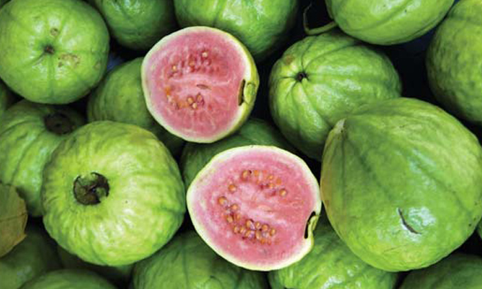  Health Benefits Of Eating Guava, Children, Eat Guava, Health Benefits, Fiber, Fa-TeluguStop.com