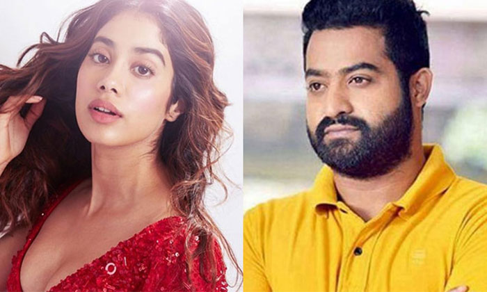  Janhvi Kapoor To Work With Jr Ntr, Tollywood, Trivikram Srinivas, Jr Ntr, Tarak,-TeluguStop.com