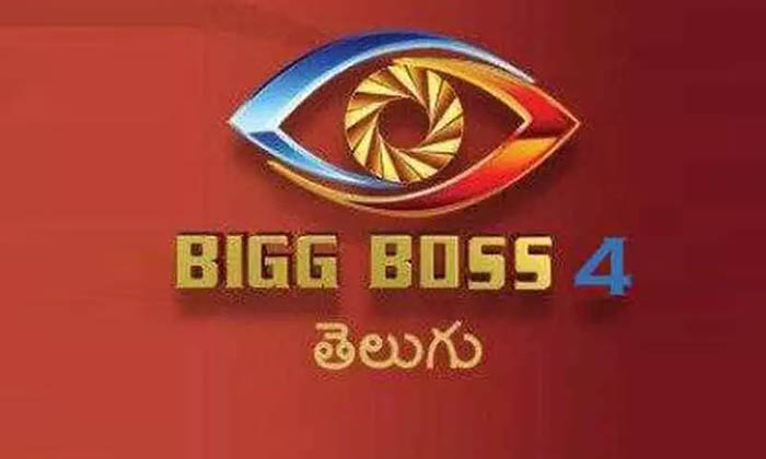  Telugu Big Boss Season 4 Contestants Karate Kalyani React About Her Elimination,-TeluguStop.com