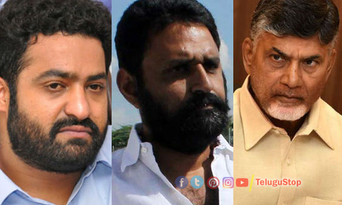  Minister Kodali Nani Sensational Comments On Jr Ntr , Kodali Nani, Ntr, Politica-TeluguStop.com