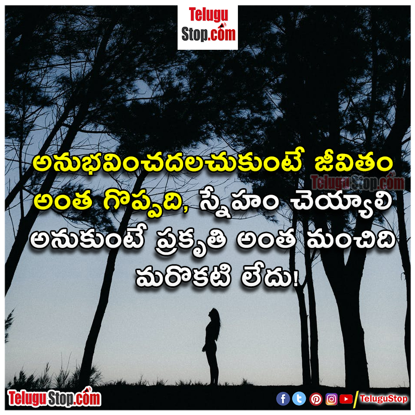 Nature human friendship related quotes in telugu inspirational quotes