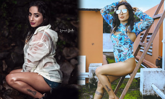 Pictures Of Fitness Model Shweta Mehta Shake Up The Show Social Media-telugu Actress Photos Pictures Of Fitness Model Sh High Resolution Photo