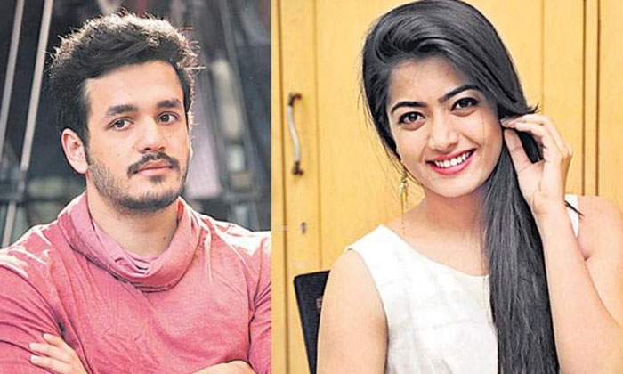  Rashmika Mandanna For Akhil-surender Reddy Film?-TeluguStop.com