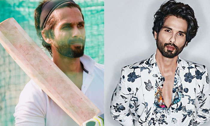  Shahid Kapoor Gets Biggest Paycheck For Jersey Remake, Bollywood, Dil Raju, Allu-TeluguStop.com