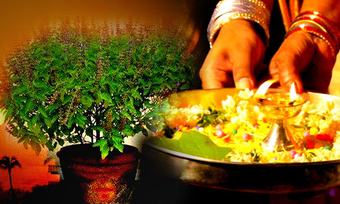  How To Do Pooja On Friday , Rock Salt, Tulasi Tree, Kumkum, Red Clothes, Money,-TeluguStop.com