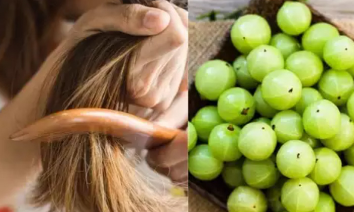 Telugu Amala, Benefits Amla, Amla, Dandruff, Heart, Mind, Stomach, Usiri-Telugu