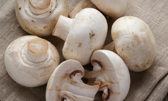  Mushrooms, Fat Body, Vitamins, Health Benfits-TeluguStop.com