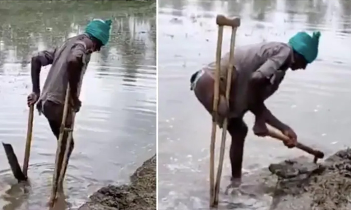  Amputee Farmer Works In Fields , Viral Video, Social Media, Indian Forest Office-TeluguStop.com