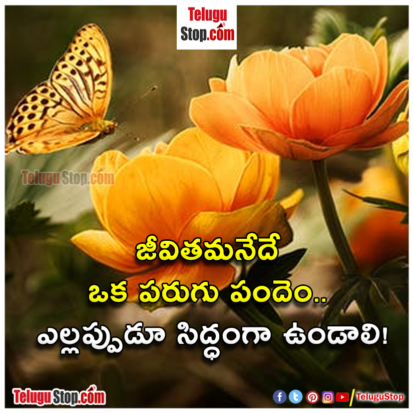 Self respect quotes in telugu inspirational Quote