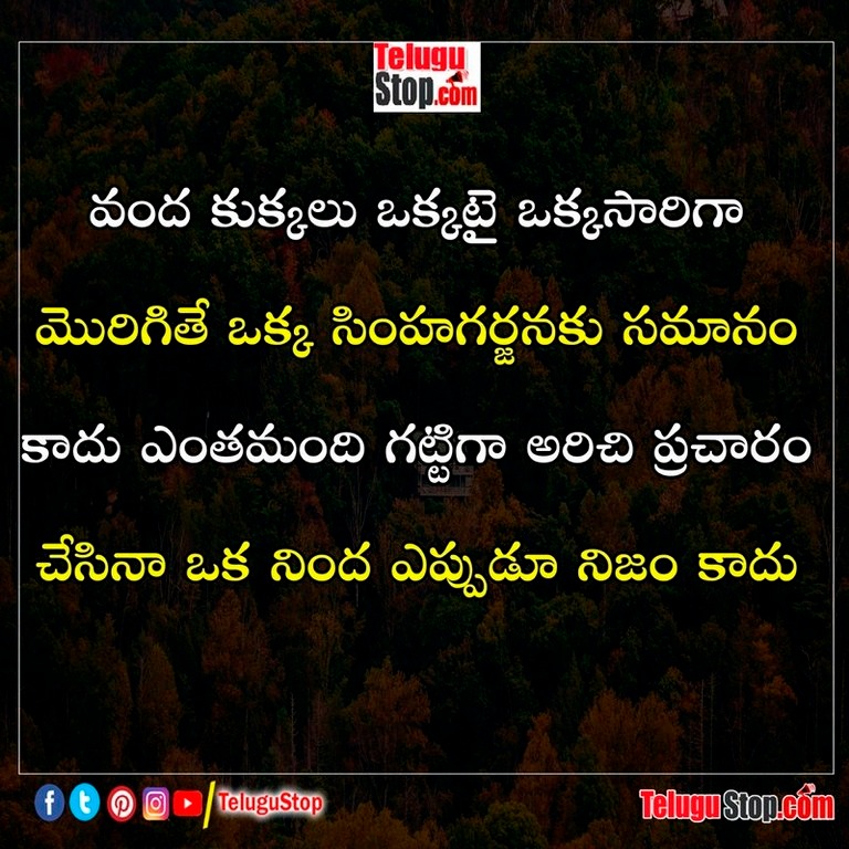 true life quotes in telugu Inspirational Quote