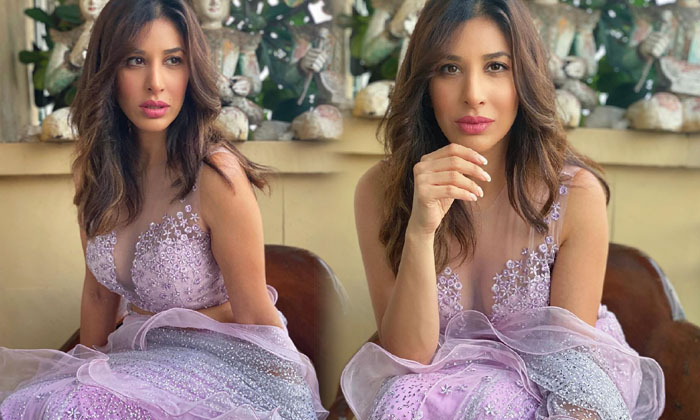 Viral Pictures Of Social Media Glamorous Hot Beauty Sophie Choudry-telugu Actress Photos Viral Pictures Of Social Media High Resolution Photo