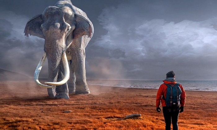  Elephant, Dreams, Good Symptoms, Auspicious,-TeluguStop.com