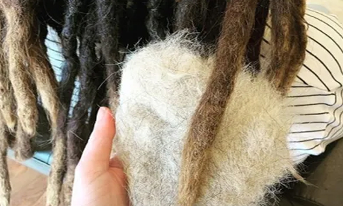  Woman Leaves Netizens Baffled By Weaving Pieces Of Her Dogs Hair Into Her Dreadl-TeluguStop.com
