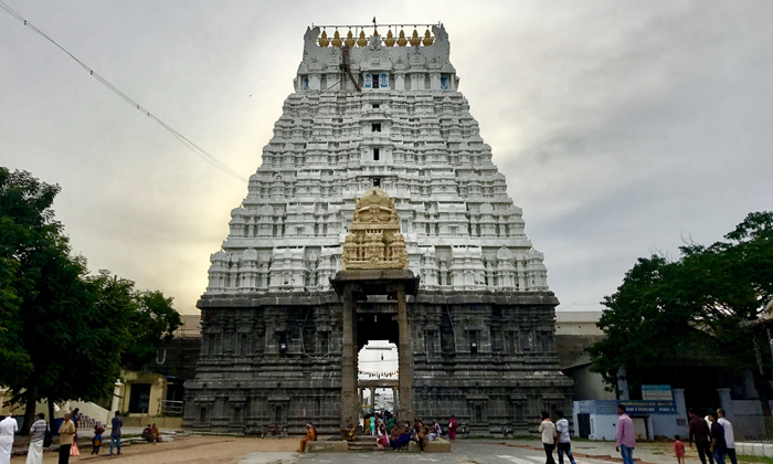  40 Years Once Open In Athi Varadharaja Swamy Temple 40 Years Temple, Tamilnadu,-TeluguStop.com