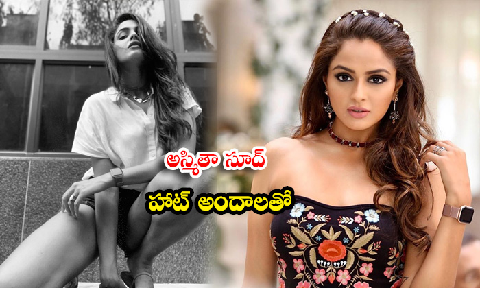 Actress Asmita Sood Beautiful Clicks-telugu Actress Photos Actress Asmita Sood Beautiful Clicks - Actressasmita Asmitas High Resolution Photo