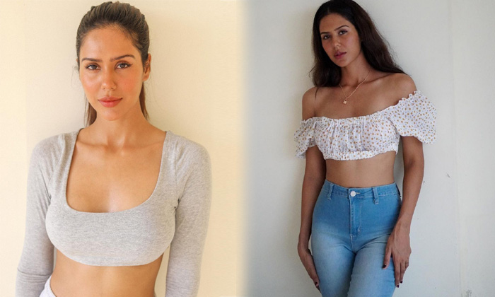 Actress Sonam Bajwa Beautiful Viral Photos  - Actresssonam Sonam Bajwa Age Sonambajwa High Resolution Photo