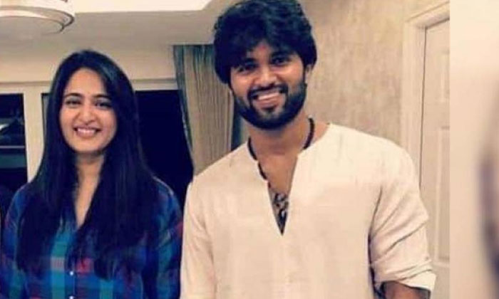  Anushka Shetty To Act With Vijay Devarakonda, Tollywood, Telugu Cinema, Crazy Co-TeluguStop.com