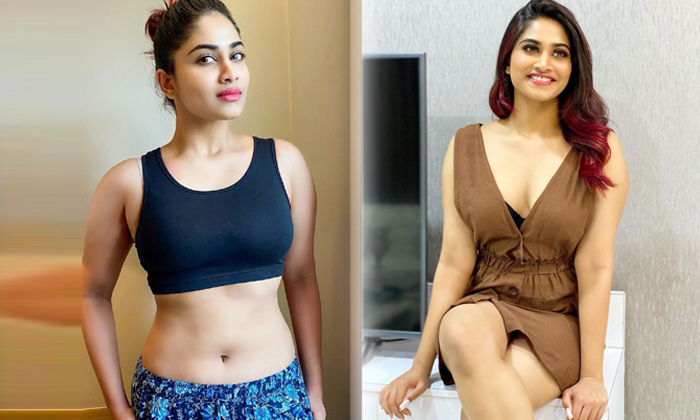 Beautiful Model Shivani Narayanan Sizzling Images  - Shivani Yanan Shivaniyanan High Resolution Photo