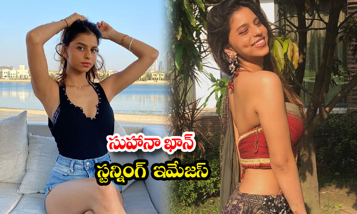 Bollywood Stunning Beauty Suhana Khan Images-telugu Actress Photos Bollywood Stunning Beauty Suhana Khan Images - Actres High Resolution Photo