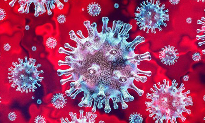  Who On Coronavirus Effects In People, Corona Virus, Covid-18, World Health Organ-TeluguStop.com