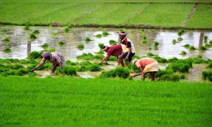  Good News For Formers Soil Testing Kit Is Came With Only Rs.4500..  Soil Testing-TeluguStop.com