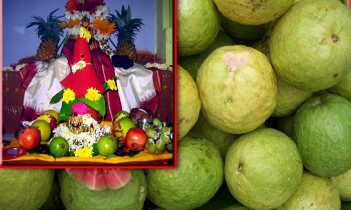  Guava Fruit Importance In Pooja, Guava Fruit,pooja, Naivedhyam, Unmarried People-TeluguStop.com