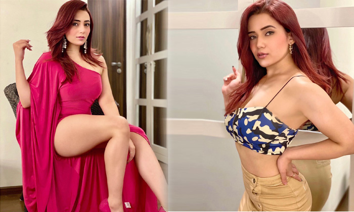 Indian Model Apurva Mehrotra Spicy Looks-telugu Actress Photos Indian Model Apurva Mehrotra Spicy Looks -  Apurvamehrotr High Resolution Photo