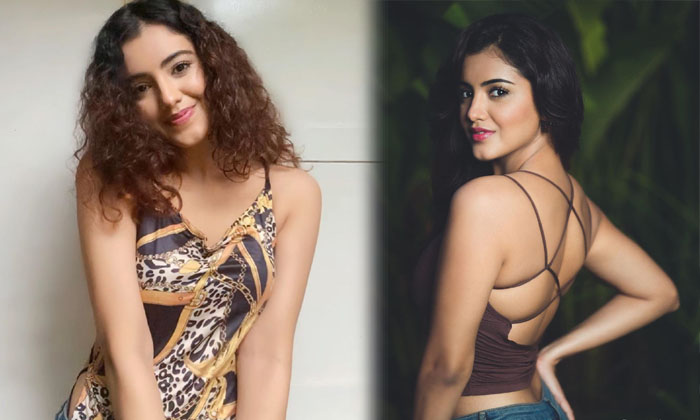 Malvika Sharma Beautiful Trending Photo-telugu Actress Photos Malvika Sharma Beautiful Trending Photo - Malavikamohanan High Resolution Photo