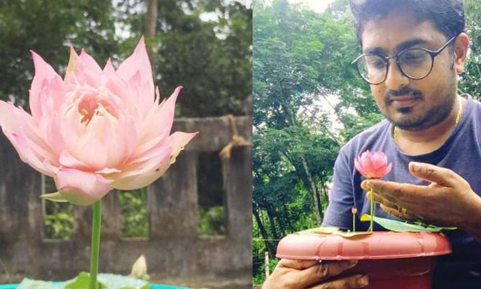  Covid-19 Crisis, Nri Nurse Switches Career To Online Lotus Sales In Kerala, Kera-TeluguStop.com