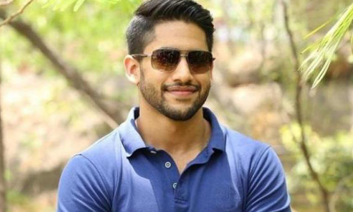  Naga Chaitanya Queued Four Movies, Naga Chaitanya, Thank You, Shekar Kamula, Tol-TeluguStop.com