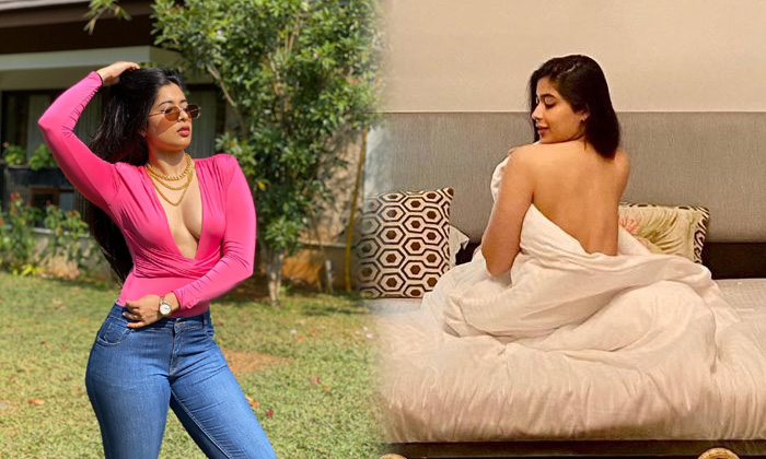 Nikita Sharma Spicy Images Will Make Your Heart Beat Faster-telugu Actress Photos Nikita Sharma Spicy Images Will Make Y High Resolution Photo