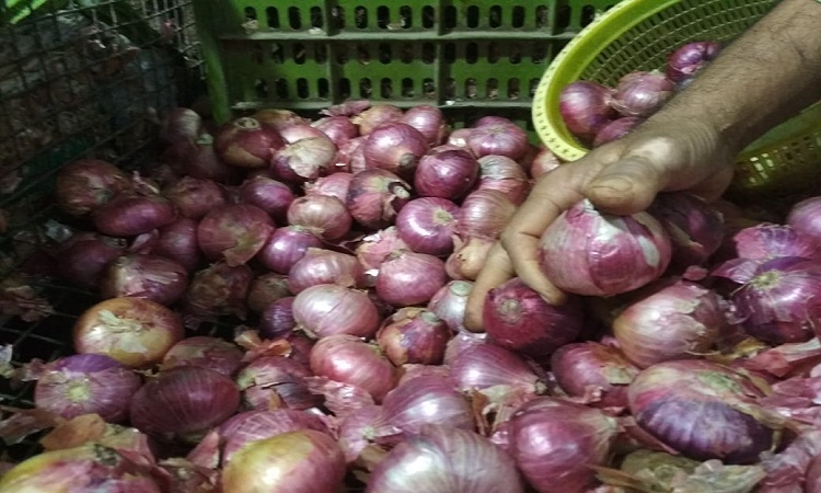  Onion Price Reaches Rs 100 In Hyderabad-TeluguStop.com