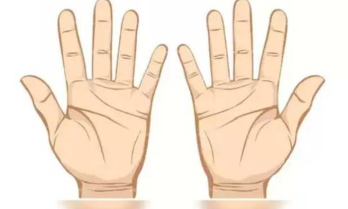  Signs On Palm, Palmistry,good Sign, Palm Lines, Hindu Believes, Zodic Signs, Swa-TeluguStop.com