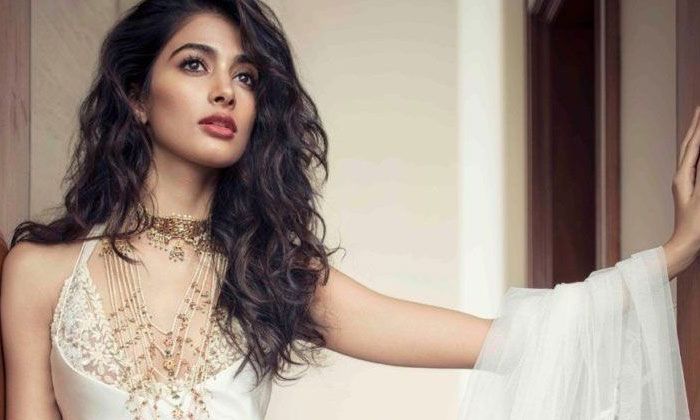  Pooja Hegde In Talks For Rohit Shetty's Next, Tollywood, Bollywood, Star Heroine-TeluguStop.com