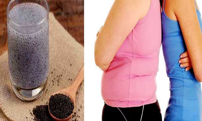  Basil Seeds Helps In Weight Loss! Basil Seeds, Weight Loss, Health Tips, Health,-TeluguStop.com