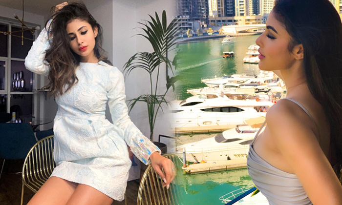 Stunning Beauty Mouni Roy Gorgeous Images-telugu Actress Photos Stunning Beauty Mouni Roy Gorgeous Images - Actressmouni High Resolution Photo