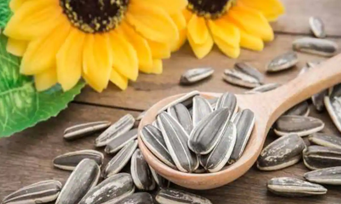  Health Benefits Of Sunflower Seeds! Health, Benefits Of Sunflower Seeds, Sunflow-TeluguStop.com