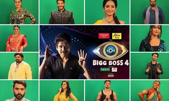  Reasons Behind Bigg Bsoss Show Failure Telugu Big Boss 4, Nagarjuna, Wild Dog,-TeluguStop.com