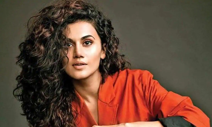  Tsapsee Pannu Comments On National Media, National Media, Taapsee Pannu, Theatre-TeluguStop.com